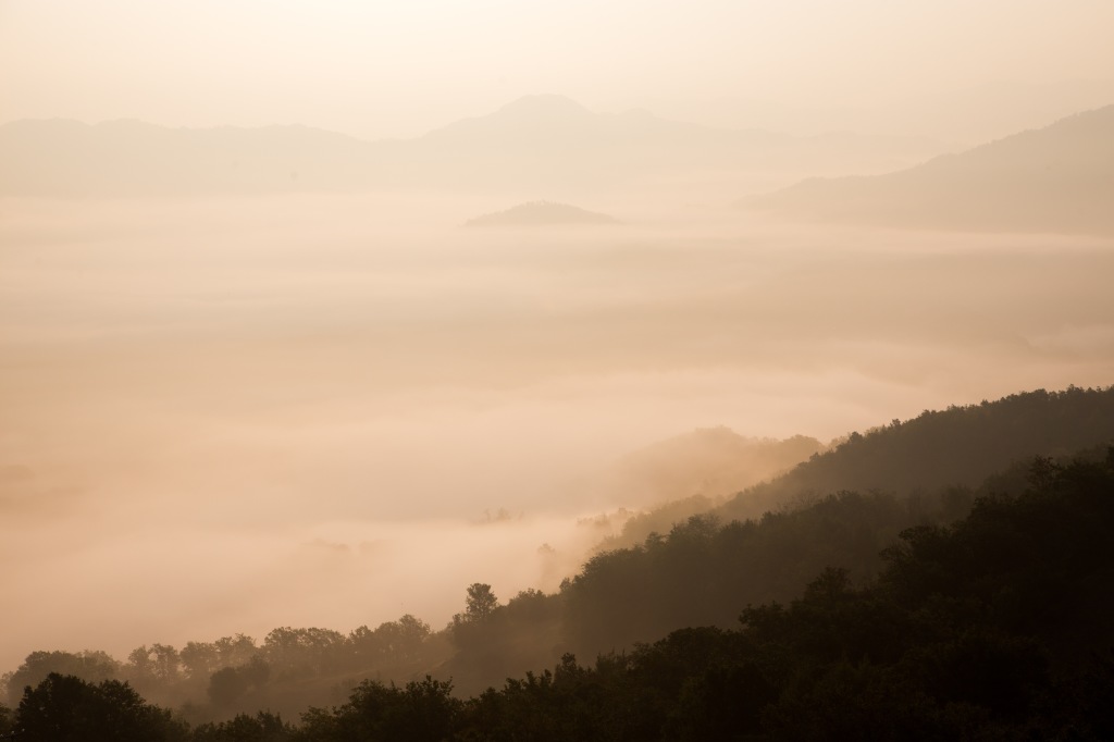 Morning Mist